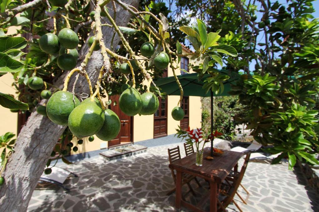 Casa Rural Los Aromos - Wunderschones Landhaus Mit Meerblick Hermigua Zewnętrze zdjęcie