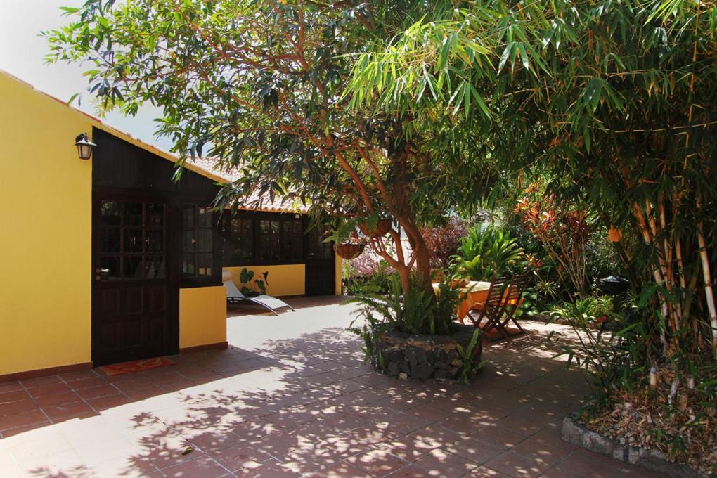 Casa Rural Los Aromos - Wunderschones Landhaus Mit Meerblick Hermigua Zewnętrze zdjęcie